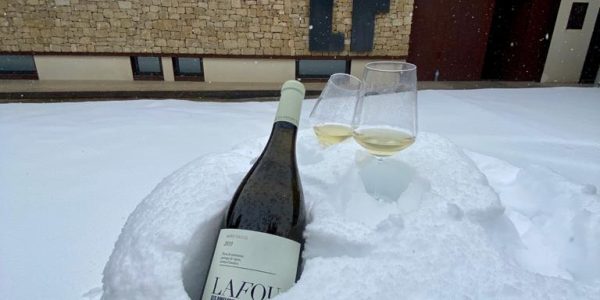 Visita a La Bodega