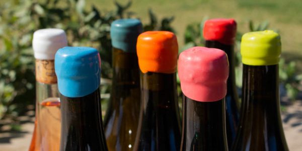 Visita a La Bodega y Degustación de Vinos