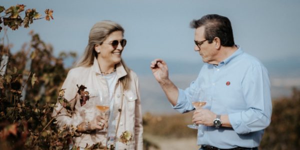 Visita a Viñedos del Contino