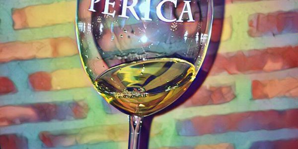 Visita a la Bodega
