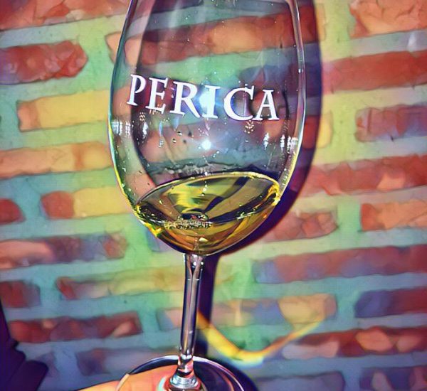 Visita a la Bodega