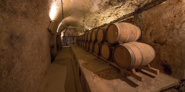 Visita a la bodega del siglo XVI + cata de 3 vinos