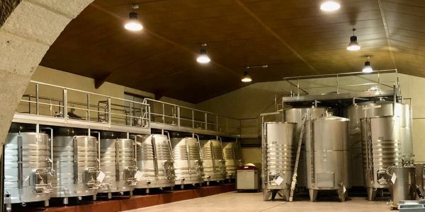 Visita a la bodega