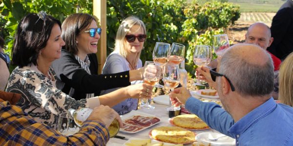Visita al viñedo con almuerzo y actividad vitícola + bodega y cata