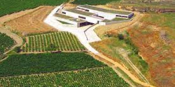 Visita básica a la Bodega