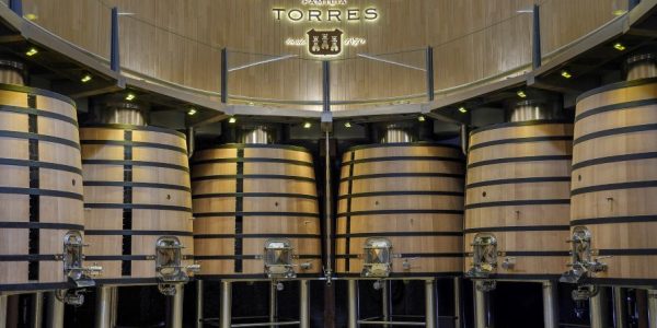Visita con cata de 3 vinos