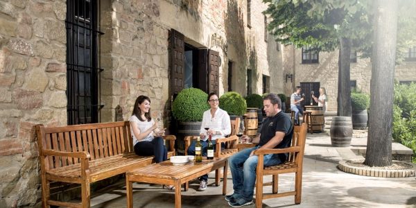 Visita de Cata con 4 Vinos