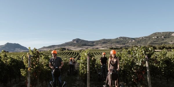Visita en segway al viñedo