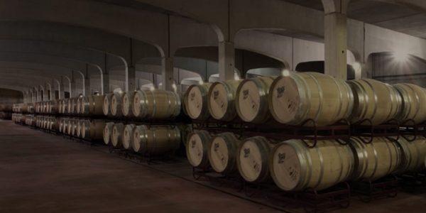 Visita guiada a bodega más degustación de 3 vinos