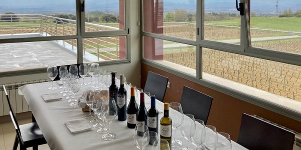 Visita guiada, vinos y aperitivo.