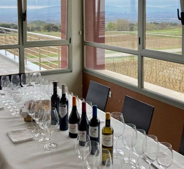 Visita guiada, vinos y aperitivo.