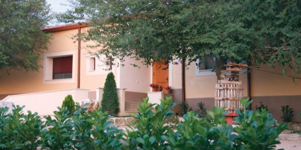 Visita la Bodega