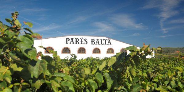 Visita La Bodega