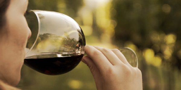 Visita la Bodega