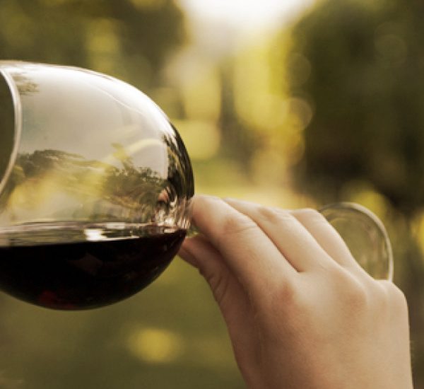 Visita la Bodega