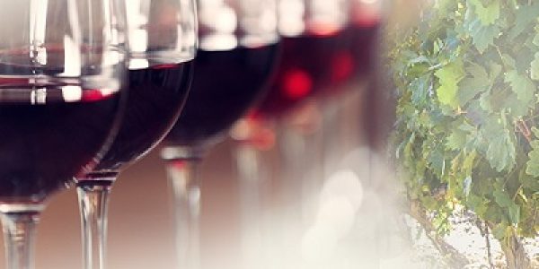 Visita la bodega