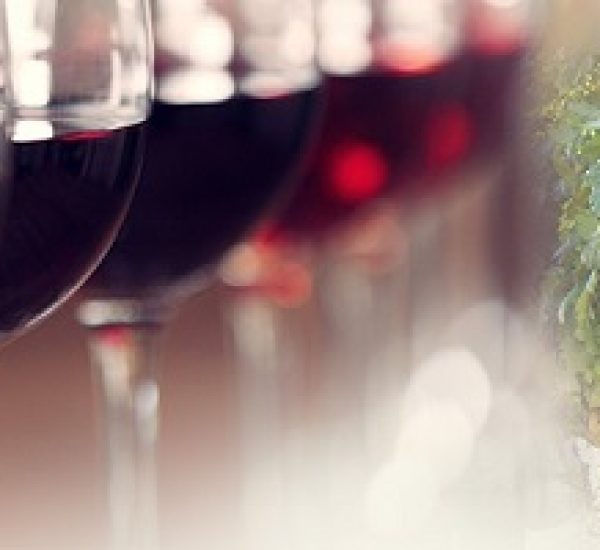 Visita la bodega