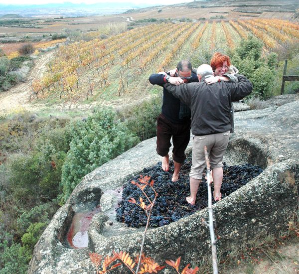 Visita lagaretas con iniciación a la cata