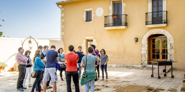 Visita por los Viñedos y la Bodega