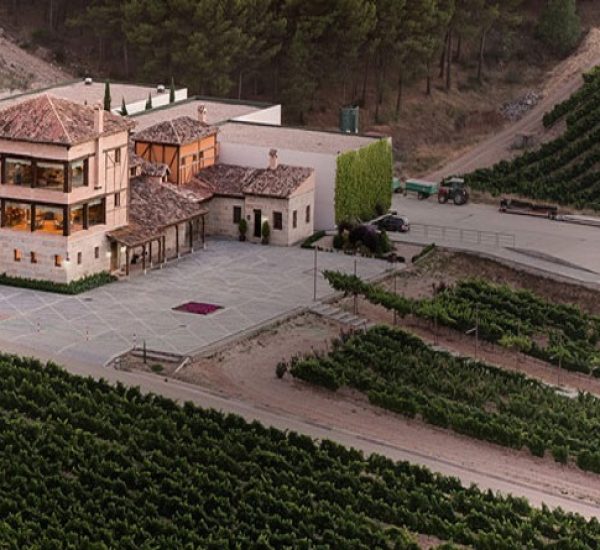 Visita privada a bodega y viñedos del Conde de San Cristóbal