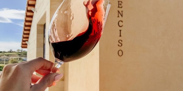 Visita privada