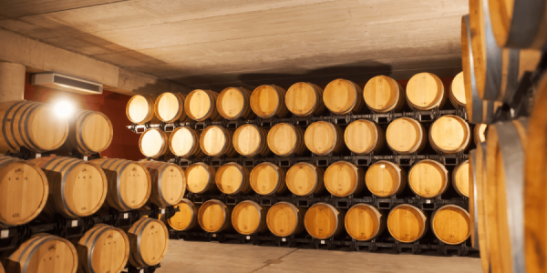 Visita y Cata de Vino y Aceite