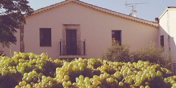 Visita y Degustación