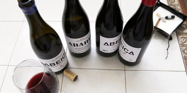 Visita y degustación de vinos parcelarios