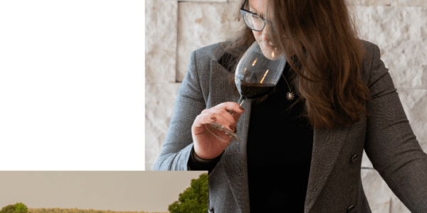Visitar Bodega Tinto Figuero