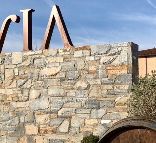 Visitas Bodegas Alvia