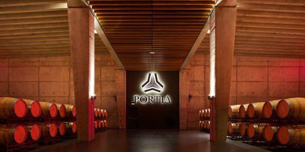 Visitas VIP Internacionales