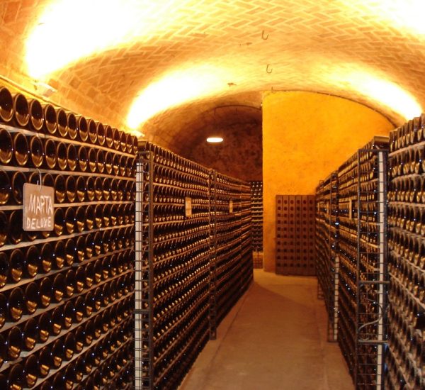 Visitas a La Bodega y al Museo Del Vino y Del Cava Ramon Canals con Degustación