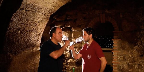 Visitas a las bodegas + cata de 3 vinos