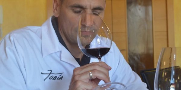 Wine Tour Con Alma de Autor