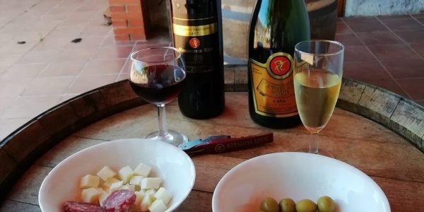 Aperitivo 2 Copas de Vinocava