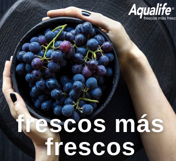Aqualife Nebusystem Portada