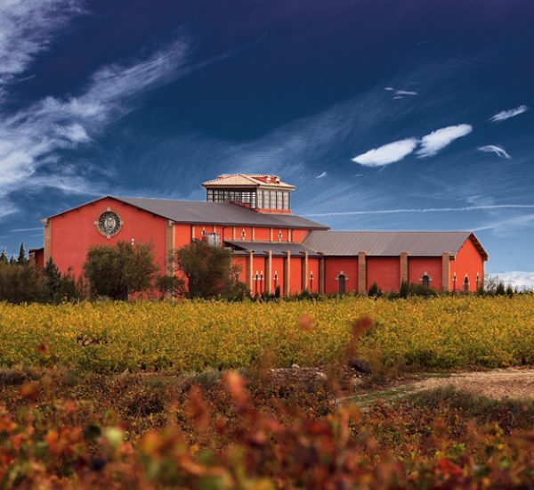 Bodegas Domeco de Jarauta