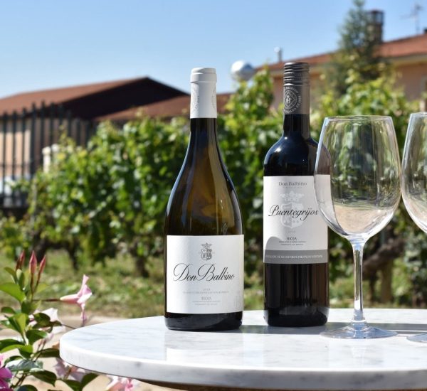 bodega don balbino vinos