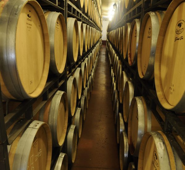 El Coto de Rioja