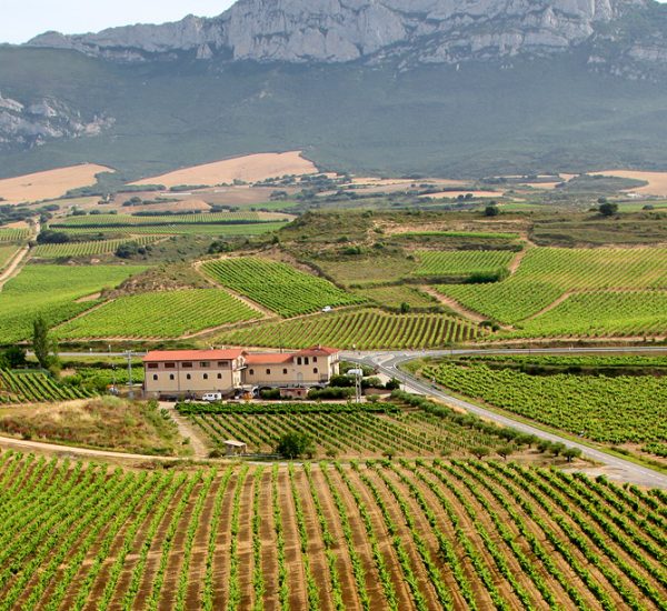 Bodegas García de Olano