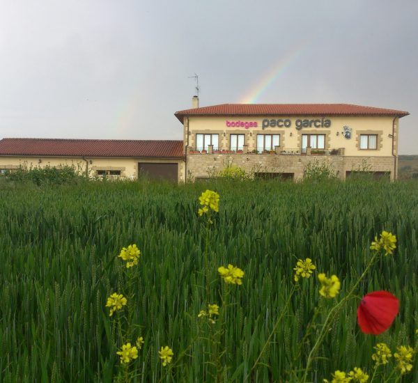 Bodegas Paco García