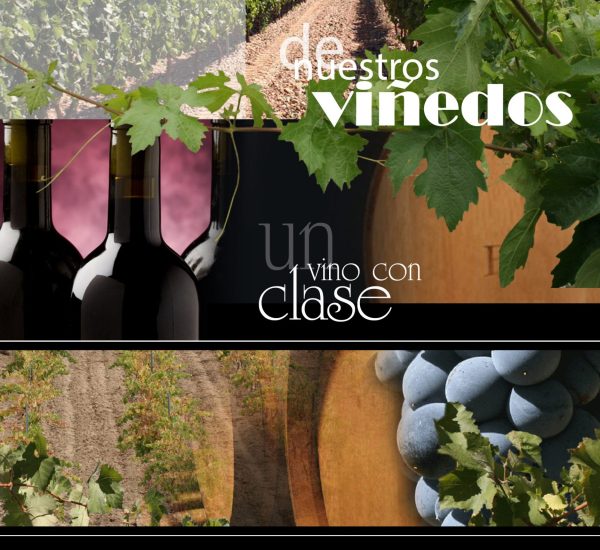 Bodegas José Cabestrero