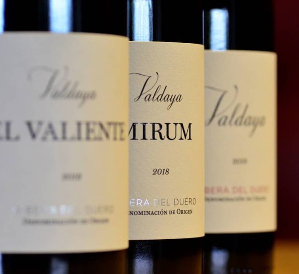 Bodegas Valdaya