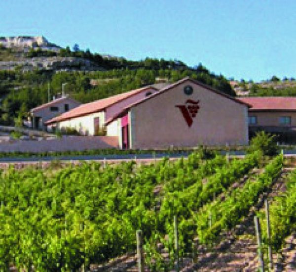 Bodegas Valdeviñas