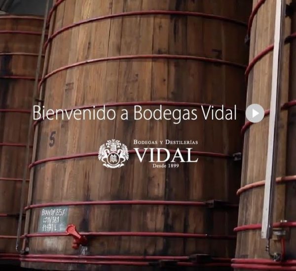 Bodegas y Destilerías Vidal