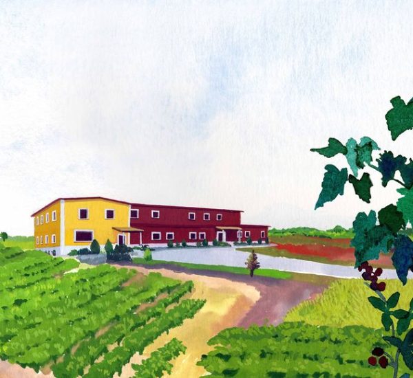 Bodegas y Viñedos Alilian