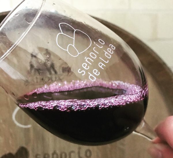 Bodegas y Viñedos Señorío de Aldea