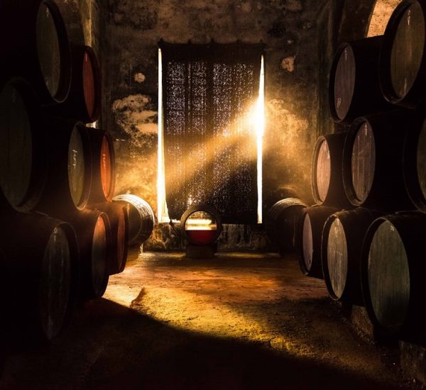 Bodegas y Viñedos Vega Real