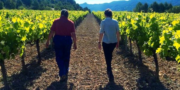 Bohigas Walk&Wine