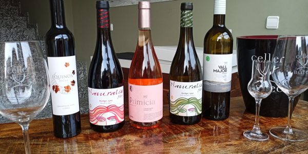 Cata de Garnachas Blancas